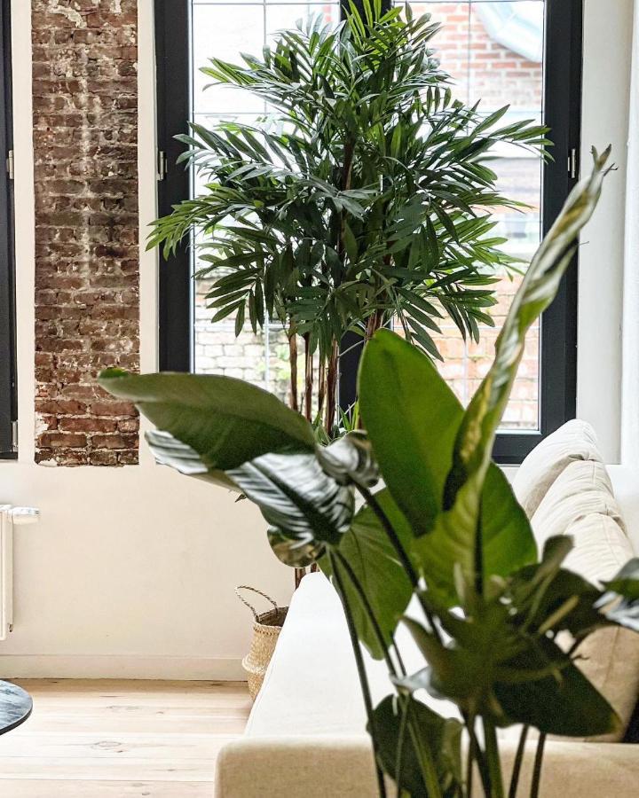 Gigi Home's Antwerp